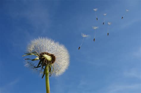 風形容|【150種超】風の種類・表現・意味・名前 一覧集 ま。